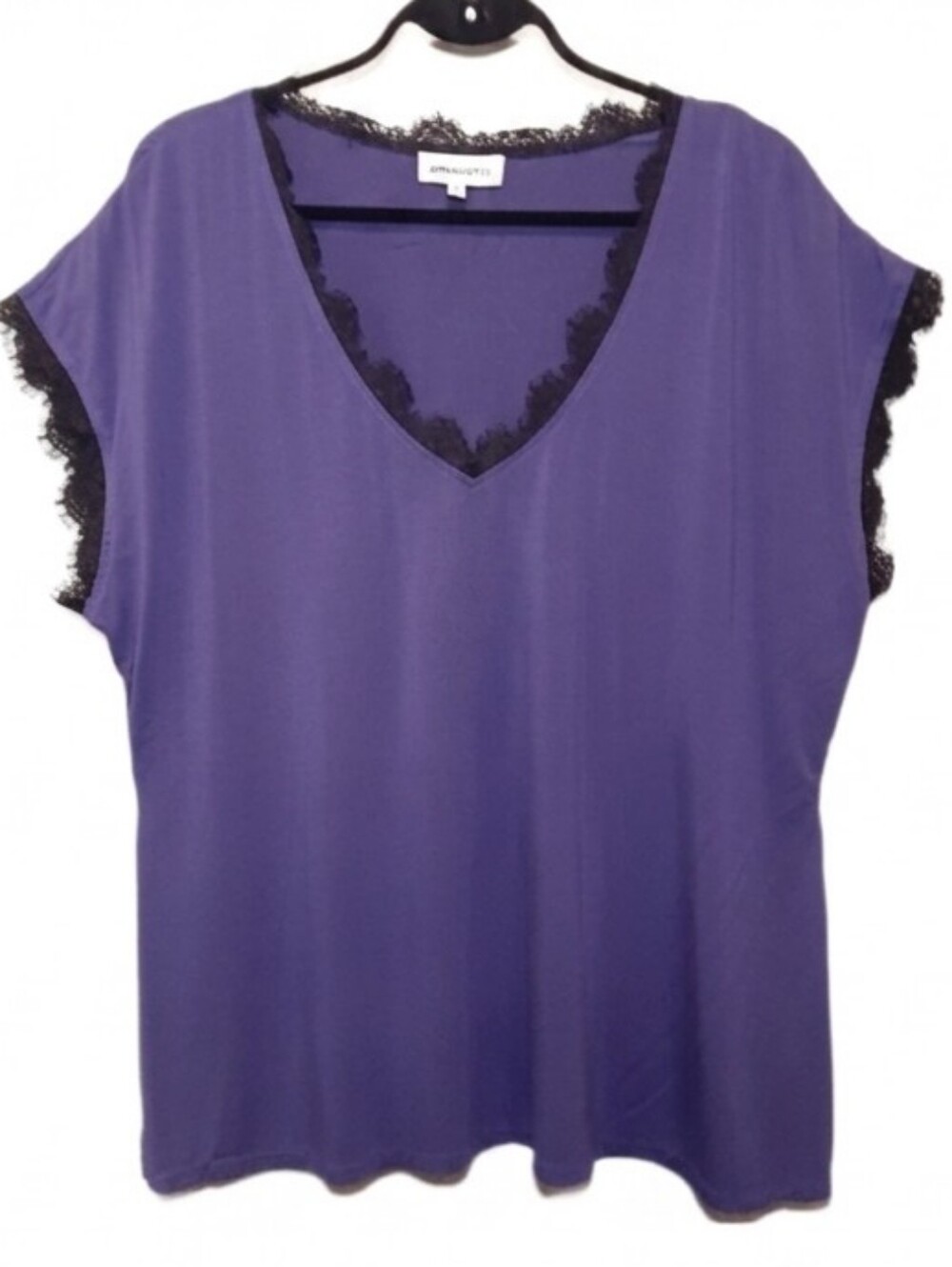 ANNA SCHOLZ Fringed Tunic Top Short Dolman Sleeve Vneck Eyelash Lace Blouse